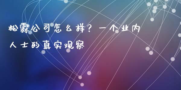 松霖公司怎么样？一个业内人士的真实观察_https://wap.lxcailiao.com_融资担保_第1张