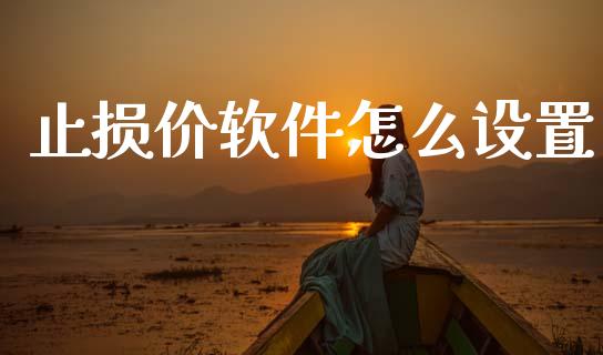止损价软件怎么设置_https://wap.lxcailiao.com_融资担保_第1张