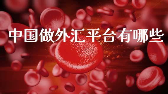 中国做外汇平台有哪些_https://wap.lxcailiao.com_融资担保_第1张