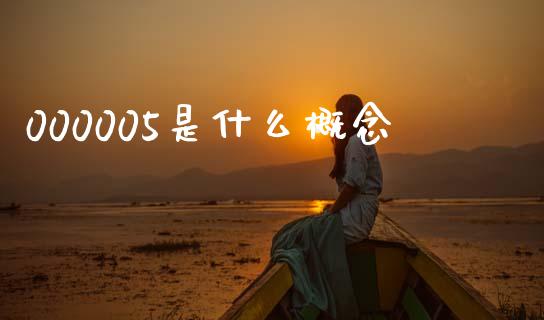 000005是什么概念_https://wap.lxcailiao.com_财务管理_第1张