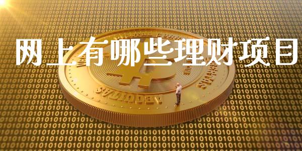 网上有哪些理财项目_https://wap.lxcailiao.com_股权投资_第1张