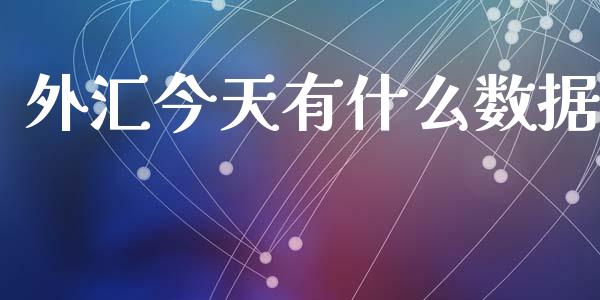 外汇今天有什么数据_https://wap.lxcailiao.com_融资担保_第1张