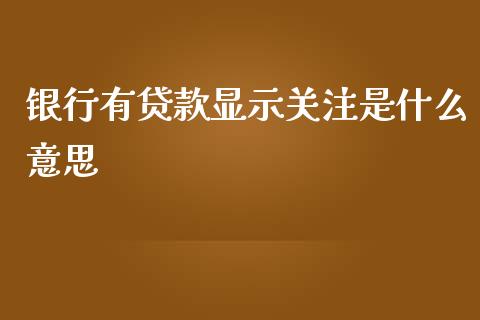 银行有贷款显示关注是什么意思_https://wap.lxcailiao.com_财务管理_第1张