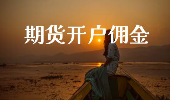 期货开户佣金_https://wap.lxcailiao.com_金融监管_第1张