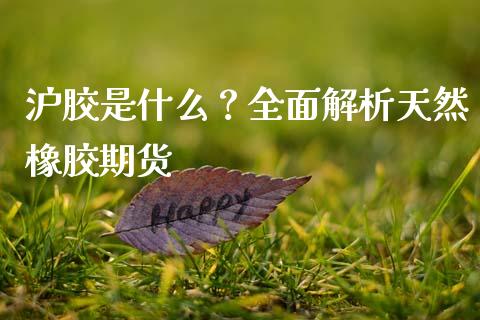 沪胶是什么？全面解析天然橡胶期货_https://wap.lxcailiao.com_融资担保_第1张