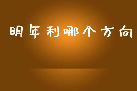 明年利哪个方向_https://wap.lxcailiao.com_财务管理_第1张