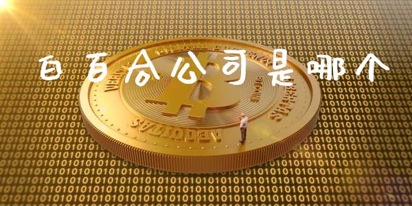 白百合公司是哪个_https://wap.lxcailiao.com_金融监管_第1张