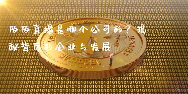 陌陌直播是哪个公司的？揭秘背后的企业与发展_https://wap.lxcailiao.com_融资担保_第1张