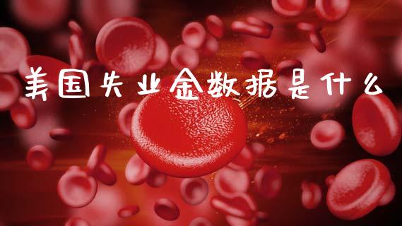 美国失业金数据是什么_https://wap.lxcailiao.com_融资担保_第1张