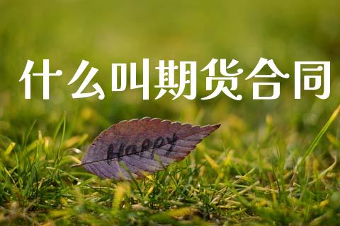 什么叫期货合同_https://wap.lxcailiao.com_股权投资_第1张