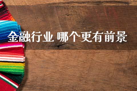 金融行业 哪个更有前景_https://wap.lxcailiao.com_财务管理_第1张