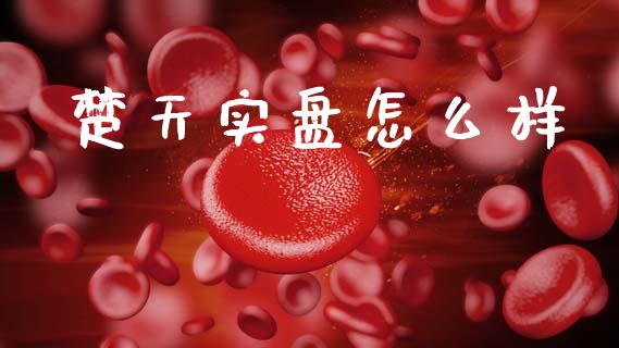楚天实盘怎么样_https://wap.lxcailiao.com_融资担保_第1张