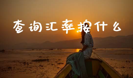 查询汇率按什么_https://wap.lxcailiao.com_金融监管_第1张