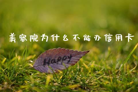 美容院为什么不能办信用卡_https://wap.lxcailiao.com_财务管理_第1张