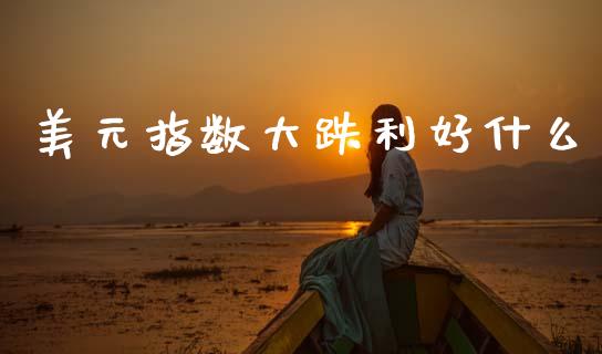 美元指数大跌利好什么_https://wap.lxcailiao.com_股权投资_第1张