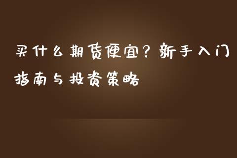 买什么期货便宜？新手入门指南与投资策略_https://wap.lxcailiao.com_融资担保_第1张
