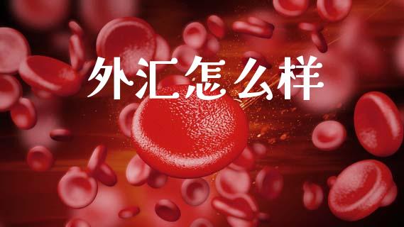 外汇怎么样_https://wap.lxcailiao.com_财务管理_第1张