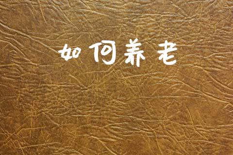 如何养老_https://wap.lxcailiao.com_财务管理_第1张