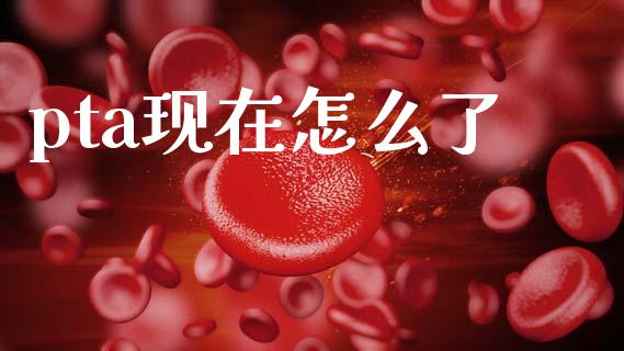 pta现在怎么了_https://wap.lxcailiao.com_财务管理_第1张