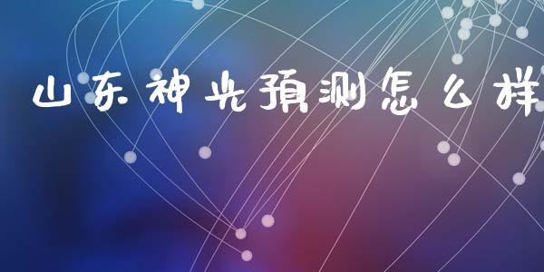 山东神光预测怎么样_https://wap.lxcailiao.com_融资担保_第1张