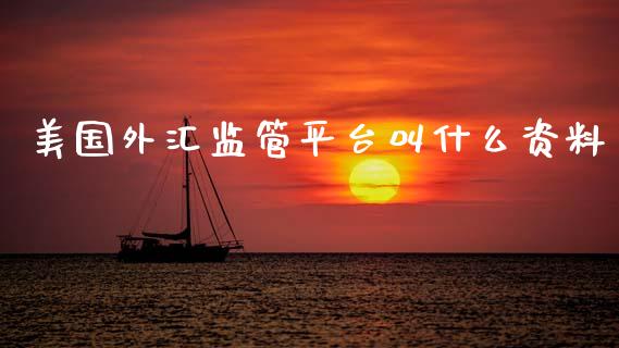美国外汇监管平台叫什么资料_https://wap.lxcailiao.com_股权投资_第1张