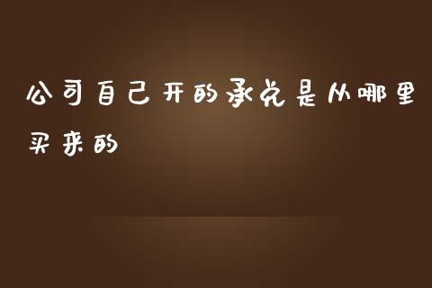 公司自己开的承兑是从哪里买来的_https://wap.lxcailiao.com_融资担保_第1张