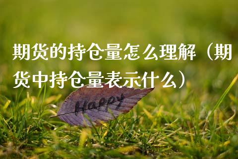 期货的持仓量怎么理解（期货中持仓量表示什么）_https://wap.lxcailiao.com_金融监管_第1张