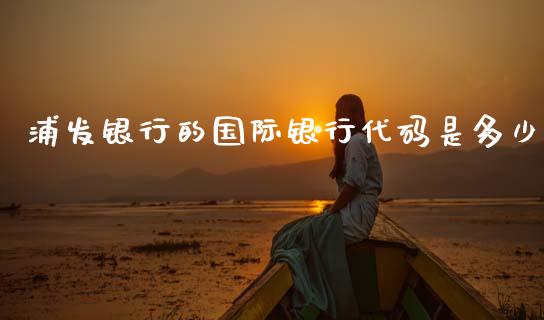 浦发银行的国际银行代码是多少_https://wap.lxcailiao.com_金融监管_第1张