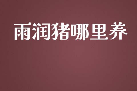 雨润猪哪里养_https://wap.lxcailiao.com_金融监管_第1张