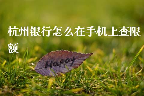 杭州银行怎么在手机上查限额_https://wap.lxcailiao.com_财务管理_第1张