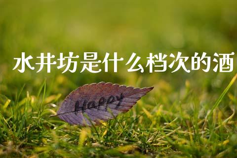 水井坊是什么档次的酒_https://wap.lxcailiao.com_融资担保_第1张