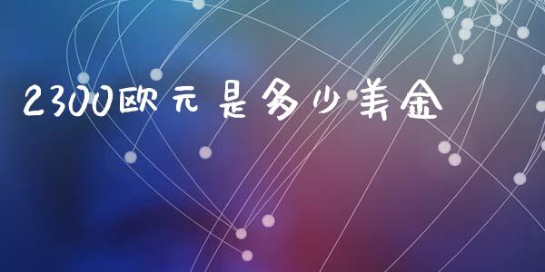 2300欧元是多少美金_https://wap.lxcailiao.com_融资担保_第1张