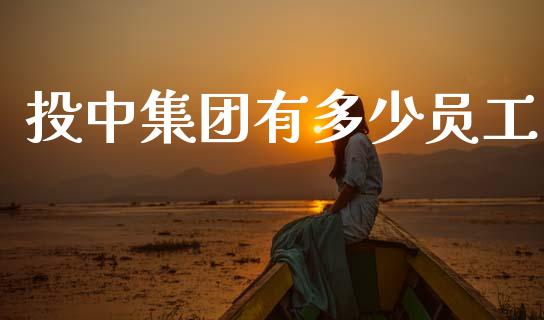投中集团有多少员工_https://wap.lxcailiao.com_融资担保_第1张