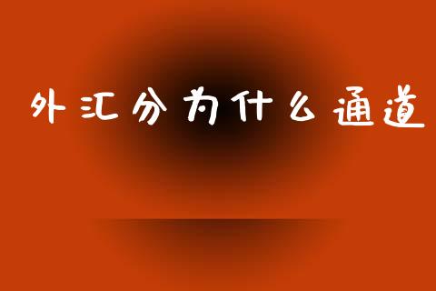 外汇分为什么通道_https://wap.lxcailiao.com_融资担保_第1张