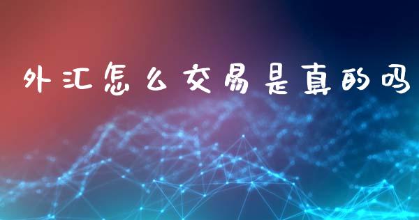 外汇怎么交易是真的吗_https://wap.lxcailiao.com_财务管理_第1张