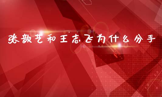 张歆艺和王志飞为什么分手_https://wap.lxcailiao.com_融资担保_第1张