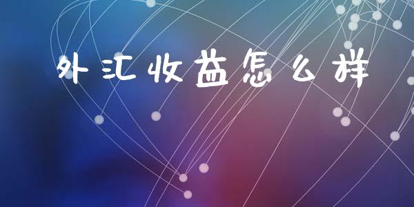 外汇收益怎么样_https://wap.lxcailiao.com_财务管理_第1张