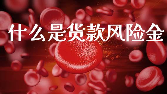 什么是货款风险金_https://wap.lxcailiao.com_财务管理_第1张