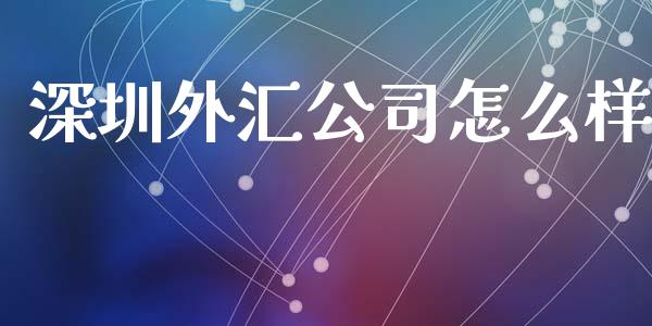 深圳外汇公司怎么样_https://wap.lxcailiao.com_金融监管_第1张