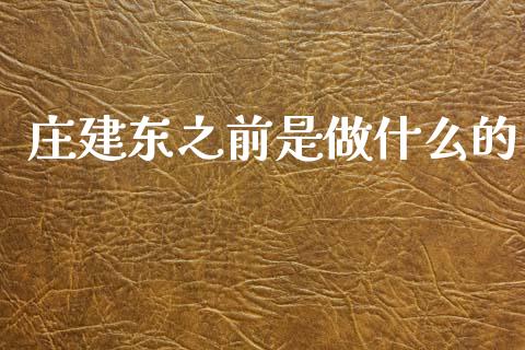 庄建东之前是做什么的_https://wap.lxcailiao.com_融资担保_第1张