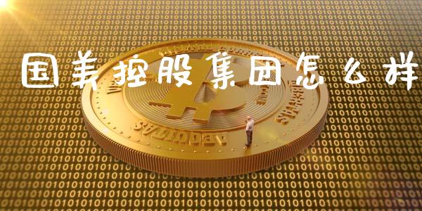 国美控股集团怎么样_https://wap.lxcailiao.com_财务管理_第1张