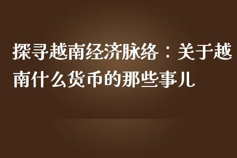 探寻越南经济脉络：关于越南什么货币的那些事儿_https://wap.lxcailiao.com_金融监管_第1张