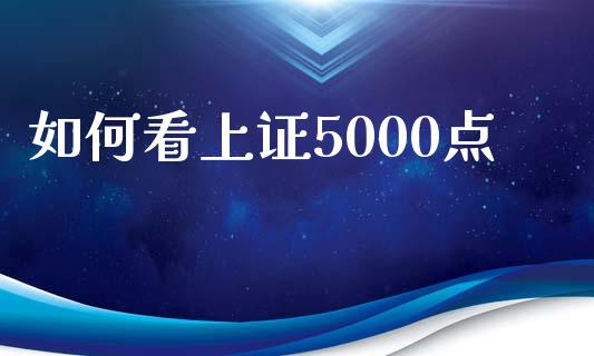 如何看上证5000点_https://wap.lxcailiao.com_财务管理_第1张