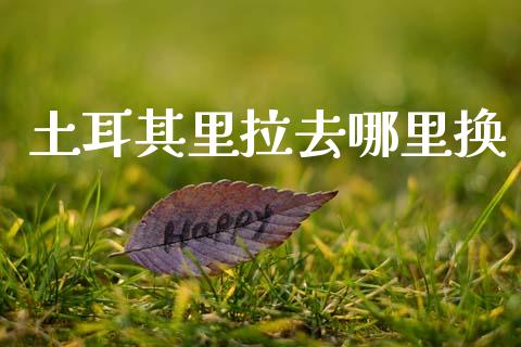 土耳其里拉去哪里换_https://wap.lxcailiao.com_金融监管_第1张