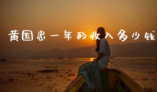 黄国忠一年的收入多少钱_https://wap.lxcailiao.com_股权投资_第1张