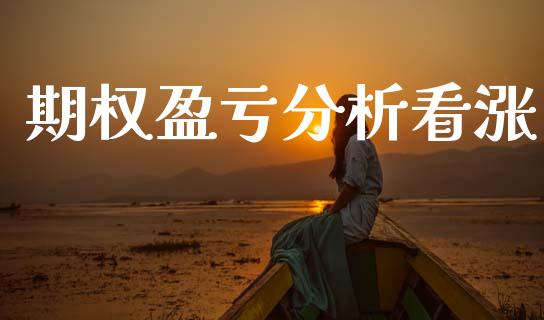 期权盈亏分析看涨_https://wap.lxcailiao.com_财务管理_第1张