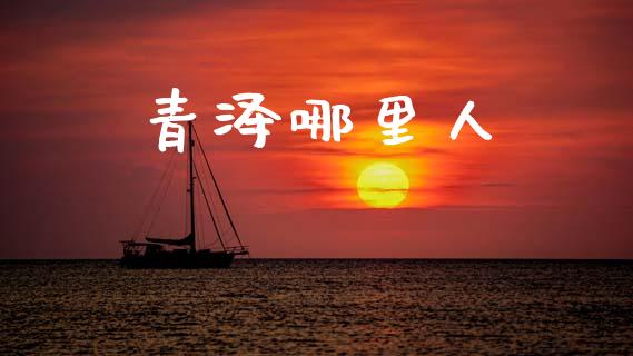 青泽哪里人_股权投资_第1张_金融监管_融资担保_财务管理_股权投资 青泽哪里人_https://wap.lxcailiao.com_股权投资_第1张