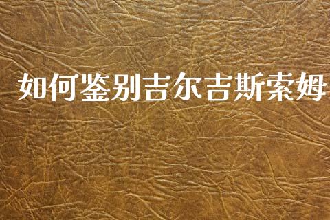 如何鉴别吉尔吉斯索姆_https://wap.lxcailiao.com_金融监管_第1张