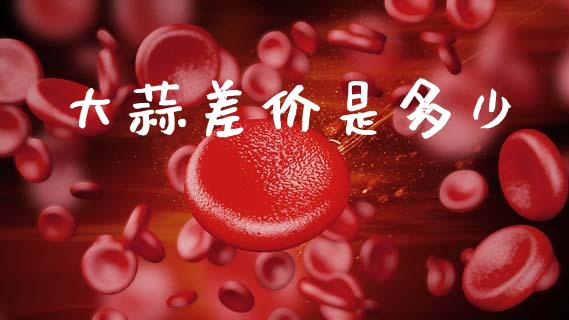 大蒜差价是多少_https://wap.lxcailiao.com_融资担保_第1张