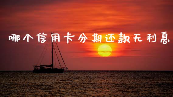 哪个信用卡分期还款无利息_https://wap.lxcailiao.com_股权投资_第1张